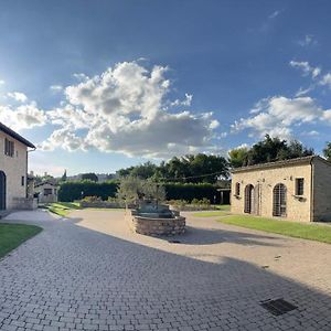 B&B L'Ulivo Incantato